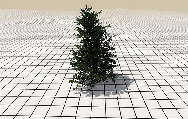 afghan vegetation 24 tree 3d max - 24 Afghan Vegetation Models by pure3dviz